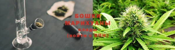PSILOCYBIN Зеленодольск