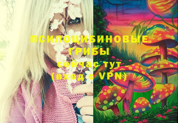 PSILOCYBIN Зеленодольск