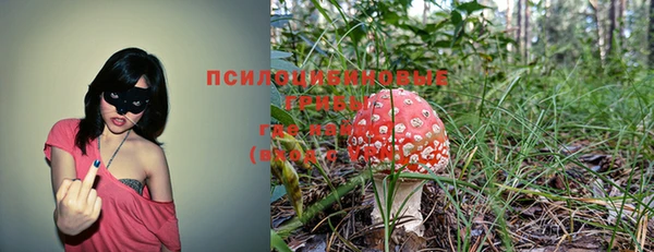 герыч Тайга