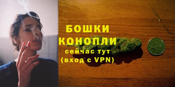 PSILOCYBIN Зеленодольск